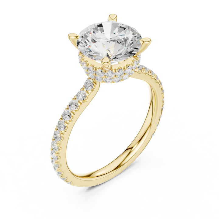 3ct Round dual halo ring